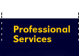 Professional Services